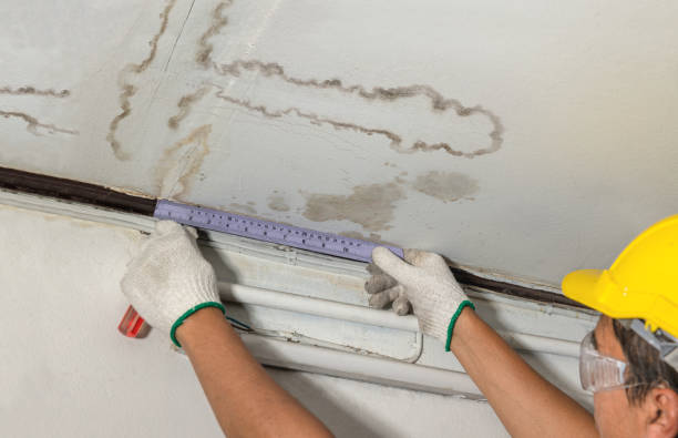 Reliable Basement Flood Cleanup contractor in Alexandria, LA by Aqua Guard Water Damage